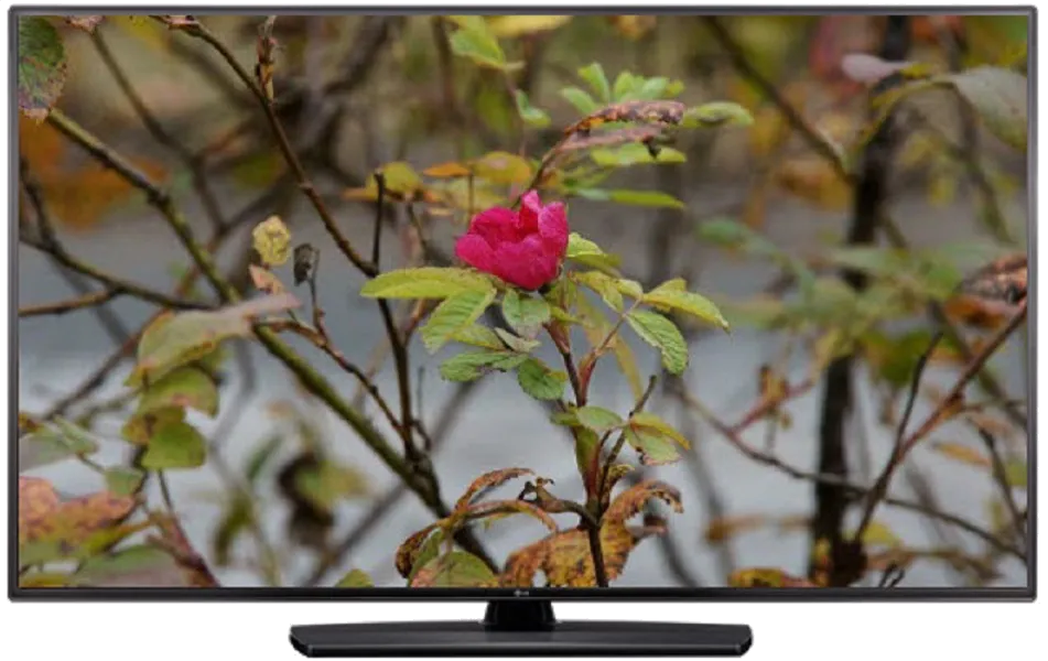 Прошивка блока управления LG 55LV541